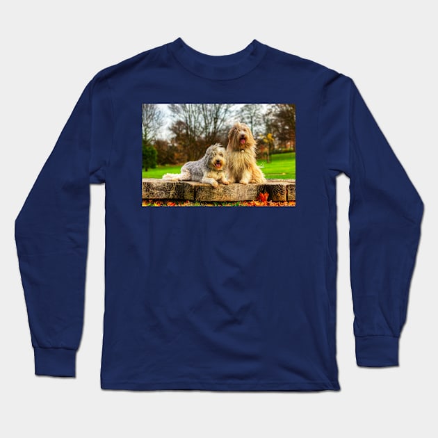 Bearded Collies Posing In The Wind Long Sleeve T-Shirt by tommysphotos